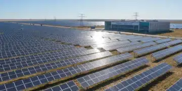 Ground-mounted solar panels powering a commercial facility in the United States, showcasing renewable energy investment.